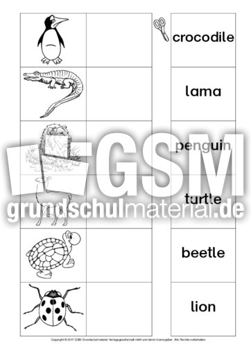 AB-animals-Zuordnung 13.pdf